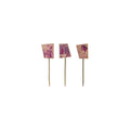 3 Sinterklaas Stick Pins